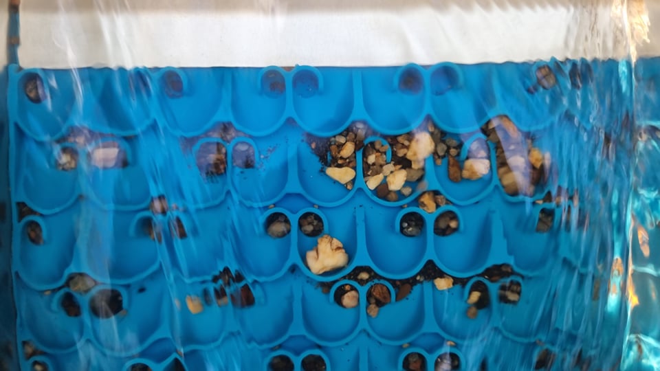 1088 Gold Rat sluice - with Mini cell Dream mat
