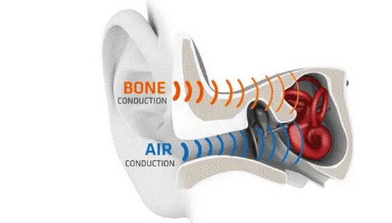 Minelab Detector Options and Accessories for the Hearing Impaired