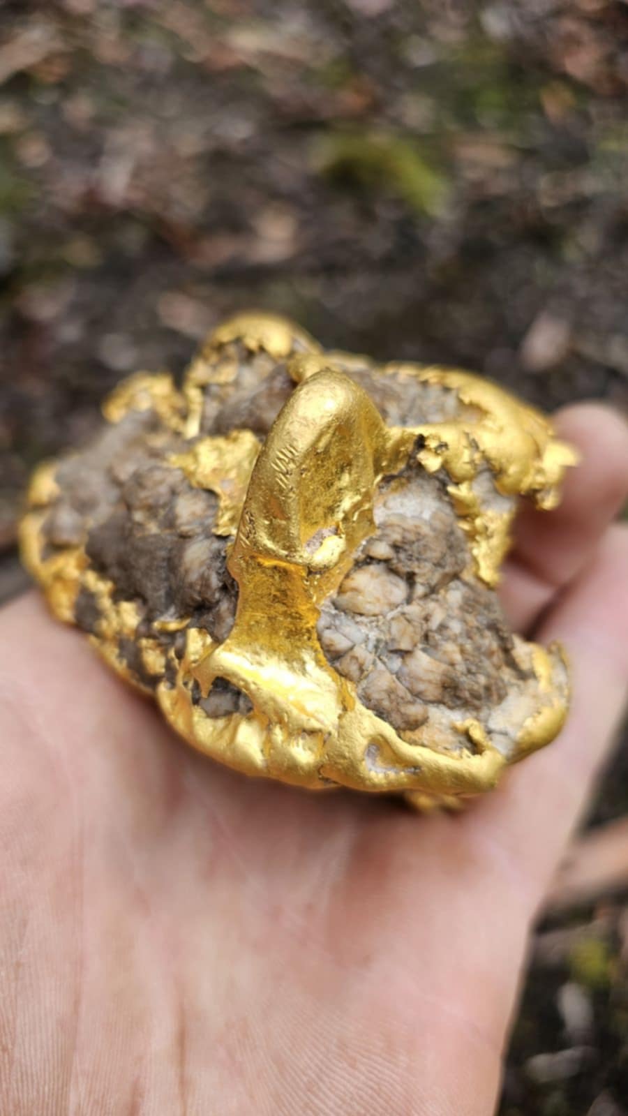 $100k Gold Nugget found with Minelabs GPX 6000