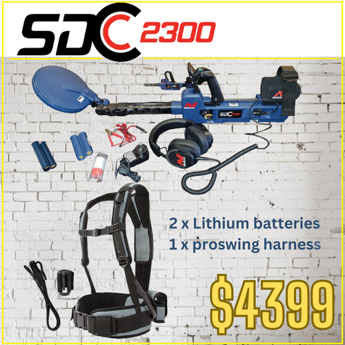 SDC 2300 - Minelab Detector Special with gold